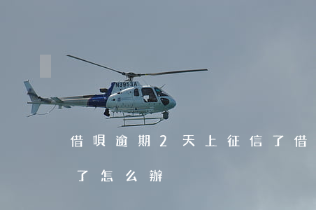 借唄逾期2天上征信了(借唄逾期2天有征信了怎么辦)