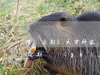 借唄逾期2天有什么問(wèn)題嗎(借唄逾期兩個(gè)月有什么后果)