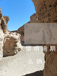 借唄逾期2天還不了(借唄逾期2天還不了怎么辦)