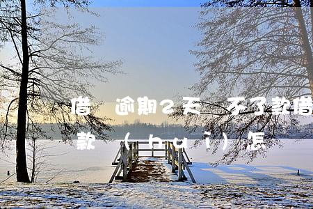 借唄逾期2天還不了款(借唄逾期2天還不了款會(huì)怎樣)