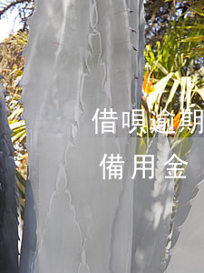 借唄逾期2天還了備用金(借唄逾期2天還了備用金)