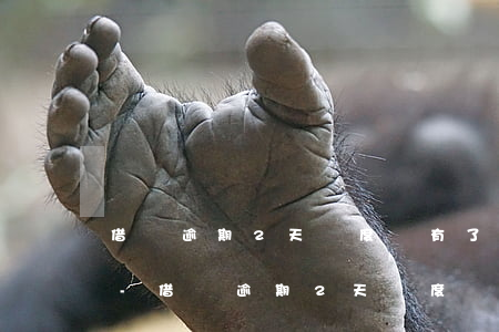借唄逾期2天額度沒有了多久恢復(fù)-借唄逾期2天額度沒有了多久恢復(fù)正常
