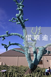 借唄逾期2年可以買(mǎi)房嗎(借唄已經(jīng)逾期兩年利息不還可以嗎)