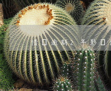 借唄逾期2年影響信用卡嗎-借唄逾期2年了