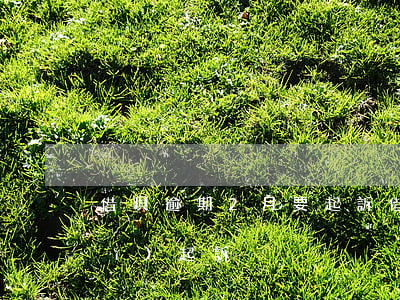 借唄逾期2月要起訴(借唄逾期2月會(huì)起訴)