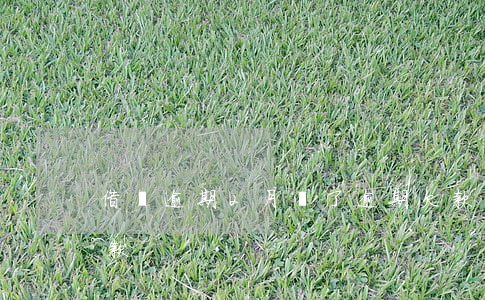 借唄逾期2月還了逾期欠款(借唄逾期兩天還款)