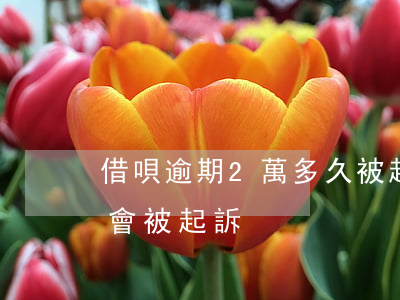 借唄逾期2萬多久被起訴(借唄兩萬逾期多久會被起訴)
