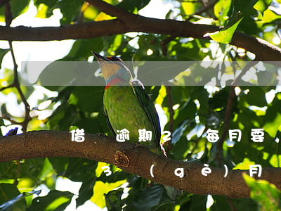 借唄逾期2萬每月要罰息多少(支付寶借唄2萬3個(gè)月罰息多少)