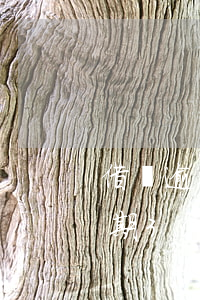 借唄逾期3000六個月多少利息-借唄逾期3000六個月多少利息啊