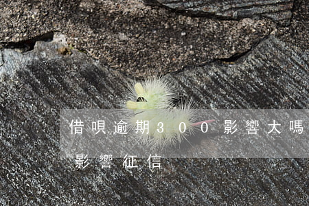借唄逾期300影響大嗎(借唄逾期多少錢會影響征信)