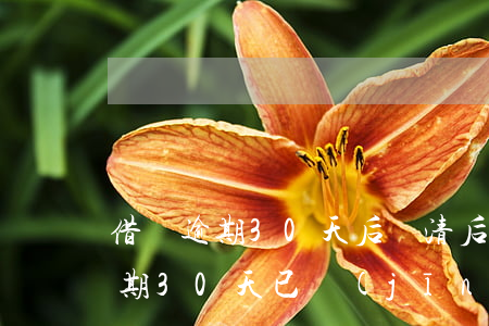 借唄逾期30天后還清后還能借嗎-借唄逾期30天已經(jīng)還完了什么時候能再用