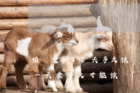 借唄逾期30天多久恢復(fù)(借唄逾期一天要多久才能恢復(fù)使用)