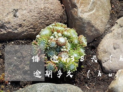 借唄逾期38天會(huì)被起訴嗎 借唄逾期多久會(huì)被起訴?借唄逾期被起訴怎么辦