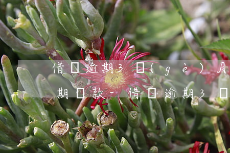 借唄逾期3個(gè)月收到律師函還了逾期貸款-借唄逾期3個(gè)月收到律師函還了逾期貸款怎么辦