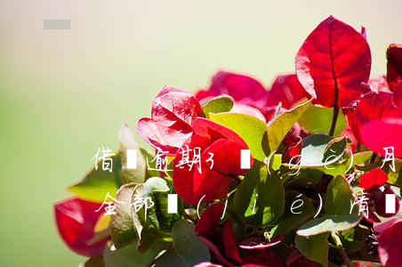 借唄逾期3個(gè)月會(huì)提前全部結(jié)清嗎-借唄逾期3個(gè)月會(huì)提前全部結(jié)清嗎怎么辦
