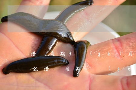 借唄逾期3個(gè)月會(huì)被告么(借唄逾期兩個(gè)月會(huì)被起訴嗎?)