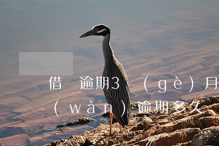 借唄逾期3個(gè)月被起訴-借唄三萬(wàn)逾期多久會(huì)被起訴