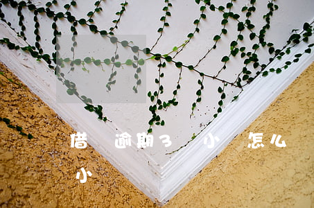 借唄逾期3個小時怎么辦(支付寶 借唄 逾期1小時)