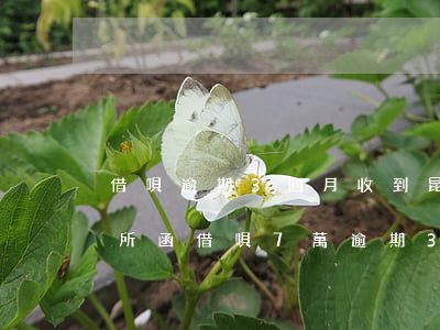 借唄逾期3個月收到昆吾律師事務(wù)所函(借唄7萬逾期3個月法務(wù)部下達(dá)律師函并開庭)