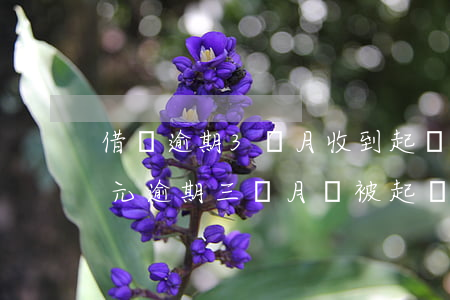 借唄逾期3個月收到起訴(借唄欠10000元逾期三個月會被起訴嗎)