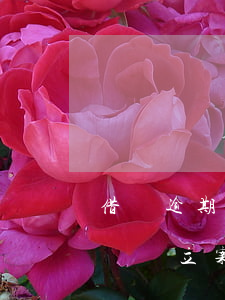 借唄逾期3個月還會立案嗎(借唄逾期3個月還會立案嗎)