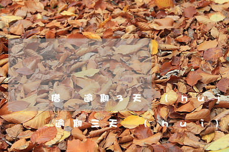 借唄逾期3天會(huì)有什么后果(借唄逾期三天會(huì)影響再次借款)
