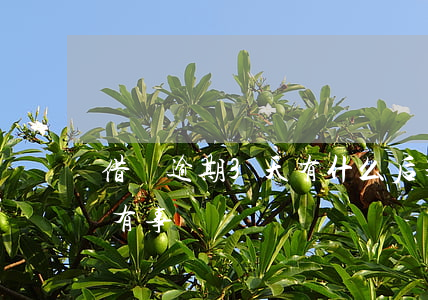 借唄逾期3天有什么后果(借唄逾期了三四天有事嗎)