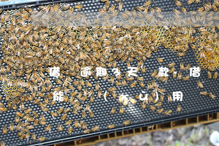 借唄逾期3天 還款-借唄逾期3天還款了還能繼續(xù)用嗎
