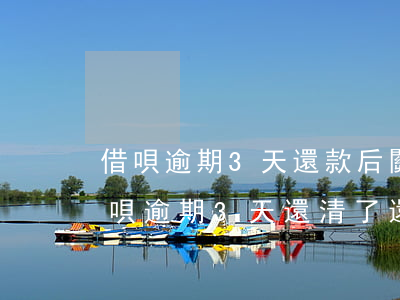 借唄逾期3天還款后關(guān)閉了(借唄逾期3天還清了還能借嗎)