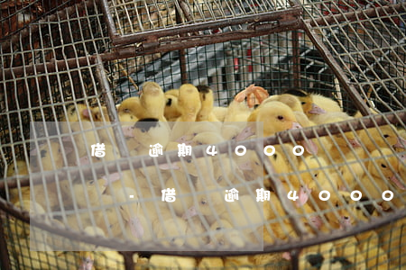 借唄逾期4000會凍結(jié)銀行卡嗎-借唄逾期4000會凍結(jié)銀行卡嗎知乎