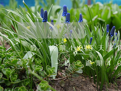 借唄逾期400天了真的會(huì)被起訴嗎-借唄逾期400天了真的會(huì)被起訴嗎知乎