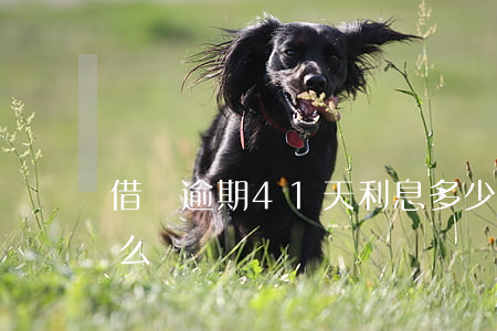 借唄逾期41天利息多少(借唄逾期23天怎么辦)