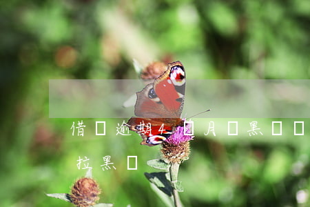 借唄逾期4個月會黑戶嗎(借唄逾期2年會被拉黑嗎?)