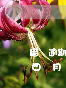 借唄逾期4個月還了還能開通嗎-借唄逾期四個月還清后還能恢復(fù)額度嗎