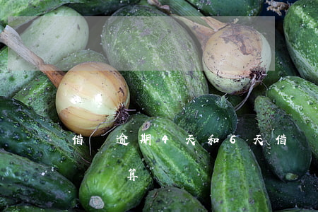 借唄逾期4天和6天(借唄逾期4天和6天哪個劃算)