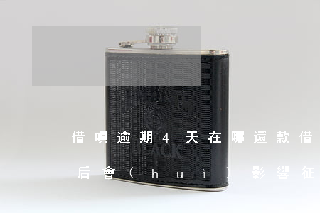 借唄逾期4天在哪還款(借唄逾期4天,還款之后會(huì)影響征信嗎)