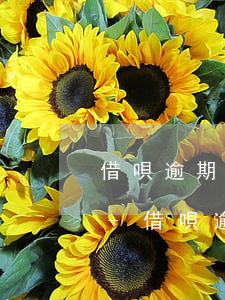 借唄逾期4天會(huì)傳到征信嗎上海-借唄逾期4天會(huì)傳到征信嗎上海銀行
