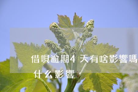 借唄逾期4天有啥影響嗎(借唄逾期了三天有什么影響沒?)