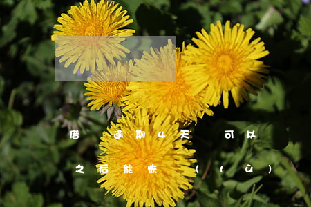 借唄逾期4天還可以換嗎(借唄逾期4天,還款之后能恢復(fù)額度使用么)