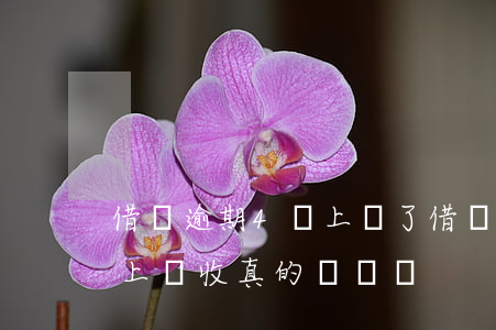 借唄逾期4萬 上門了(借唄逾期一萬多說今天上門收真的會來嗎)