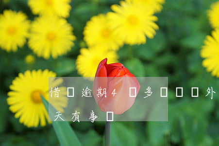 借唄逾期4萬多長時間外訪(借唄逾期了三四天有事嗎)
