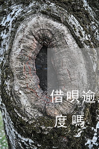 借唄逾期500是不是黑戶(黑戶會有借唄額度嗎)