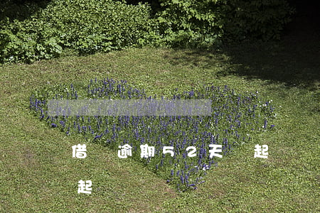 借唄逾期52天會起訴嗎(借唄六萬逾期會被起訴嗎)