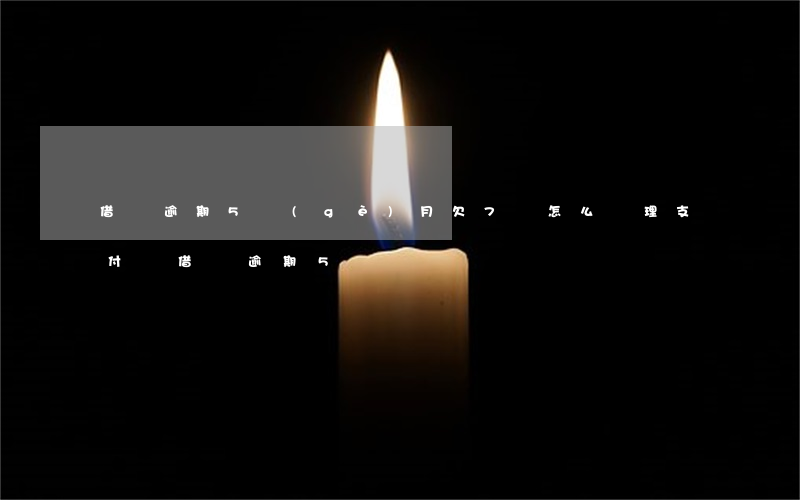 借唄逾期5個(gè)月欠7萬怎么處理(支付寶借唄逾期5萬)