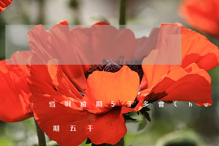 借唄逾期5千多會(huì)怎樣-借唄逾期五千