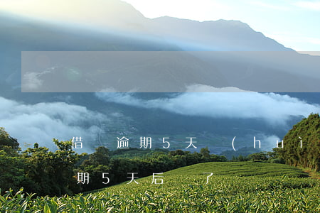借唄逾期5天會(huì)被核查嗎(借唄逾期5天后還了)