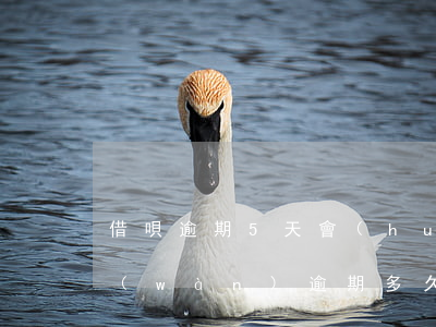 借唄逾期5天會(huì)被起訴(借唄五萬(wàn)逾期多久會(huì)被起訴)