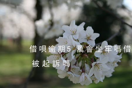 借唄逾期5萬會坐牢嗎(借唄逾期五萬以上會被起訴嗎)