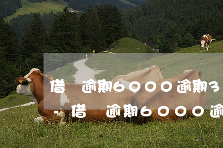 借唄逾期6000逾期3個多月了會上門嗎-借唄逾期6000逾期3個多月了會上門嗎怎么辦