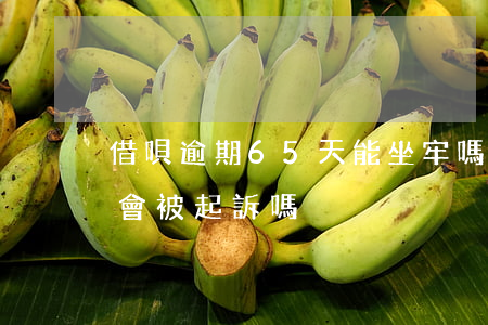 借唄逾期65天能坐牢嗎(借唄逾期170天會被起訴嗎)